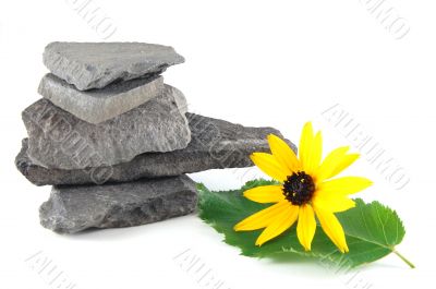 stones stones