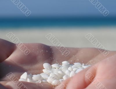 tiny white shells in the palm of a hand