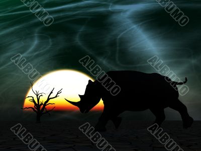 Rhino Wildlife Rhino Wildlife