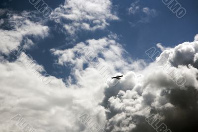 airplane in sky