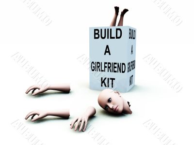 Build A Girlfriend kit