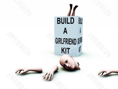 Build A Girlfriend kit