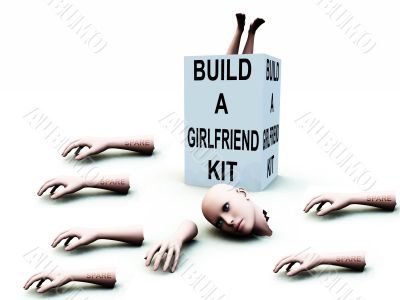 Build A Girlfriend kit