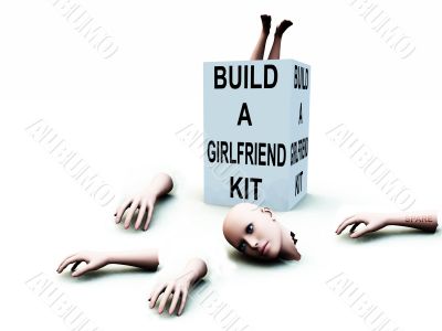 Build A Girlfriend kit