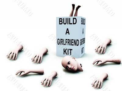 Build A Girlfriend kit