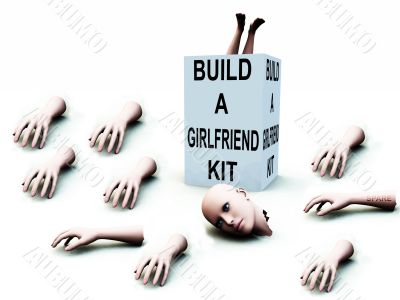 Build A Girlfriend kit