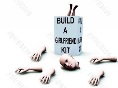 Build A Girlfriend kit