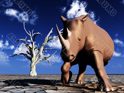 Rhino Wildlife Rhino Wildlife