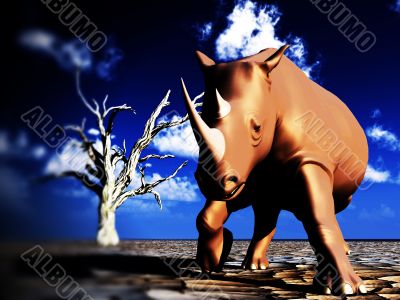 Rhino Wildlife Rhino Wildlife