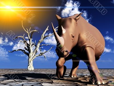 Rhino Wildlife Rhino Wildlife