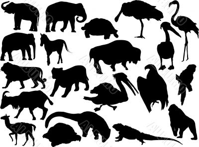 Silhouettes of animals