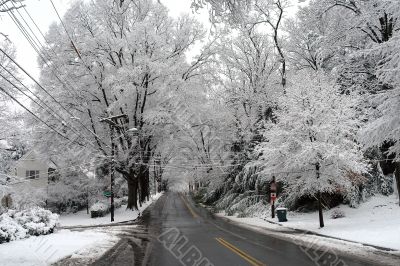 Winter in Washington DC