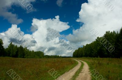 Road in the field. A rural landscape.