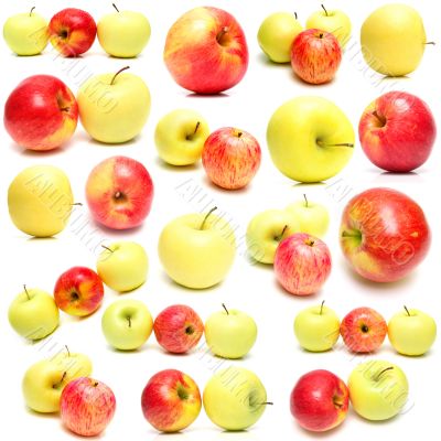 apples