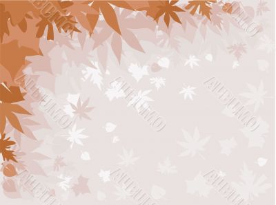 autumn fog autumn fog