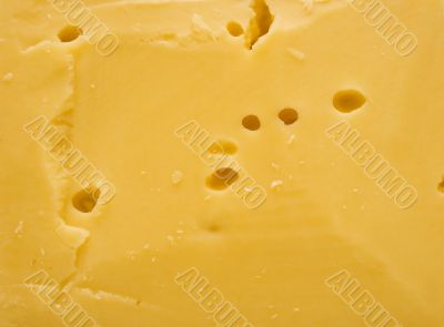 cheese background