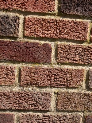 Brick Wall Brick Wall