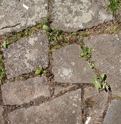 Pavement Pavement
