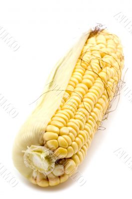 corn in cob