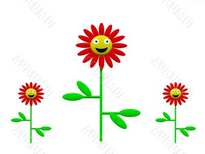 Flower Flower