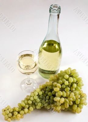 Grapes and white wine