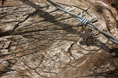 Aged Wood Texture and Barbed Wire