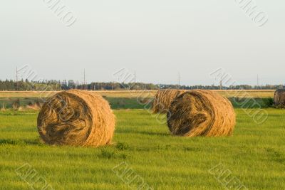 Hay Bale At Sunset