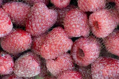 Abstract background from a fresh ripe raspberry