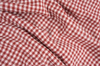 Red and White Picnic Blanket
