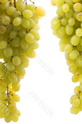 grapes