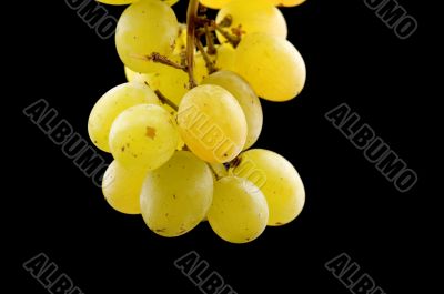 Green grapes