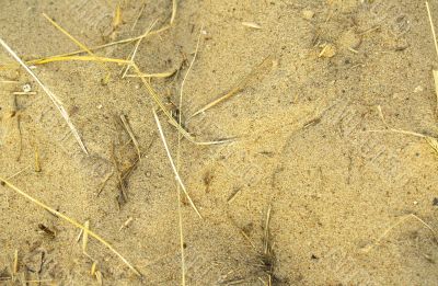 abstract sandy background