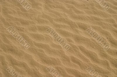 sand texture sand texture
