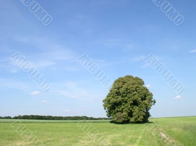 Tranquil scene Tranquil scene
