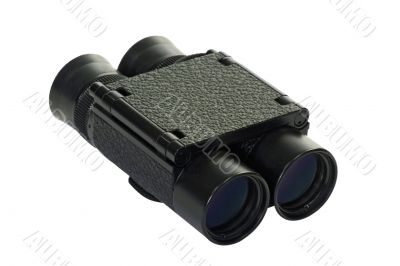 Binocular