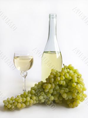 Grapes and white wine