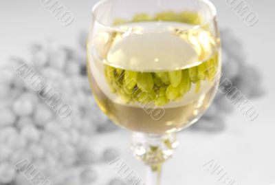 Grapes and white wine