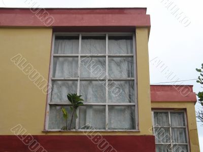 corner window of a yellow house