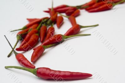 Chili peppers