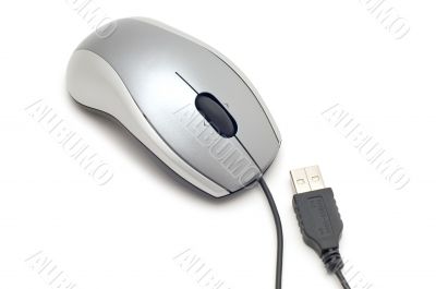 computer mouse