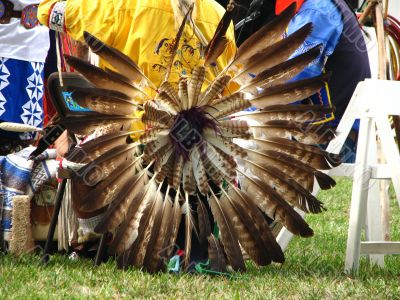 Native American Feathers