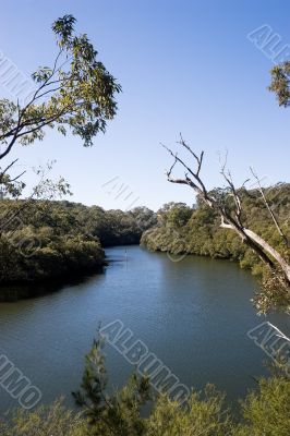 River Scene