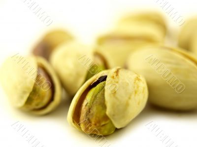 pistachio nut