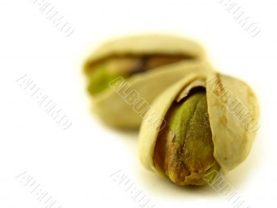 pistachio nut