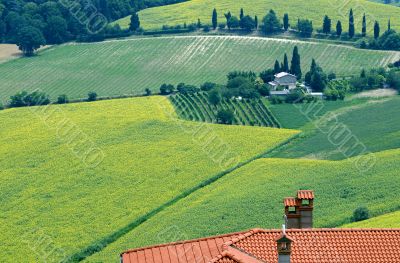 Landscape in Romagna at summer Landscape in Romagna at summer
