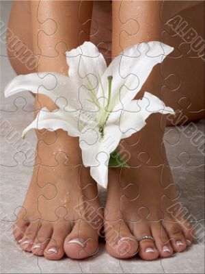 lily puzzle lily puzzle