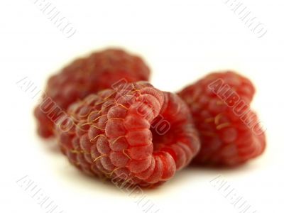 rapsberry in zoom