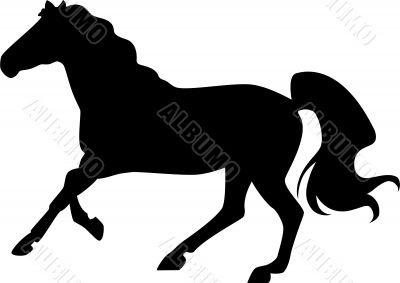 Horse Silhouette