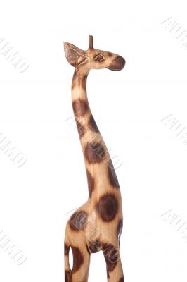 giraffe short light profile