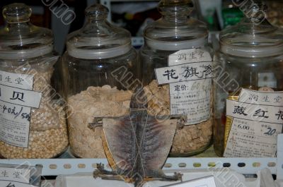 Dried bat in chinese medicine shop